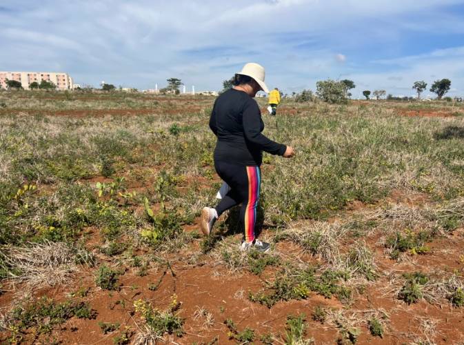 Área degradada no Parque Ecológico do Riacho Fundo começa a ser restaurada