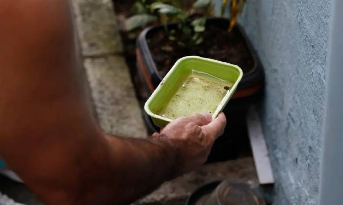 Chikungunya traz preocupações após uma década de presença no Brasil