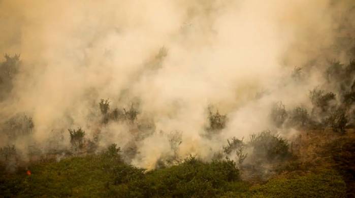 Pantanal tem este ano maior área queimada em junho