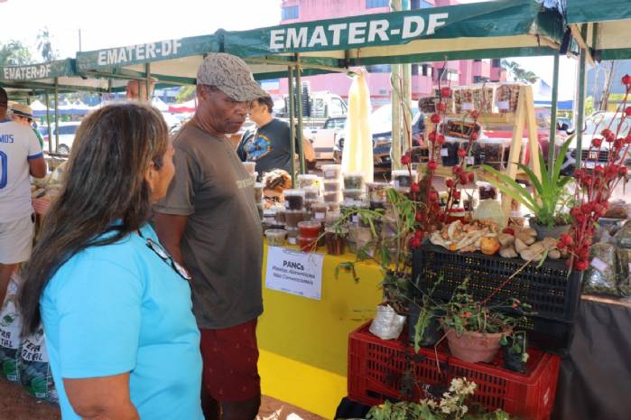 Vem aí a Semana do Produtor Rural em Sobradinho