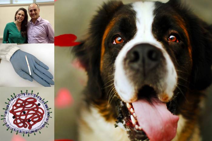 Bolsista desenvolve plataforma de baixo custo para detecção de doença canina