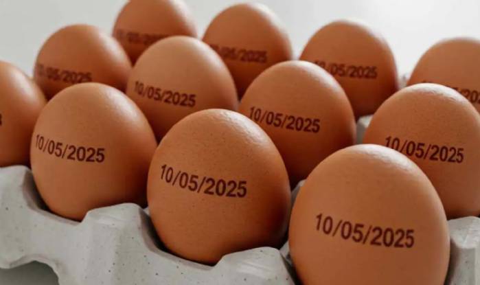 Agricultura suspende determinação de carimbar data de validade em ovos