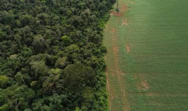 Brasil apresenta soluções de financiamento climático em Nova York