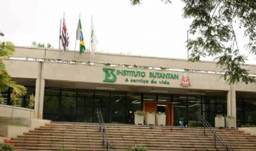 Butantan se prepara para testar vacina contra gripe aviária em humanos
