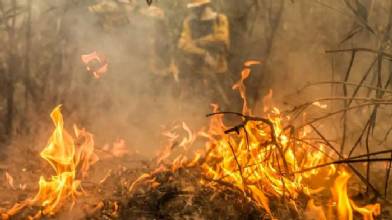 Governo destina R$ 137,6 milhões para combate a queimadas no Pantanal