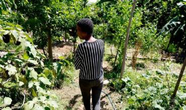 Horta comunitária reúne memória, cuidado e cidadania em favela do Rio
