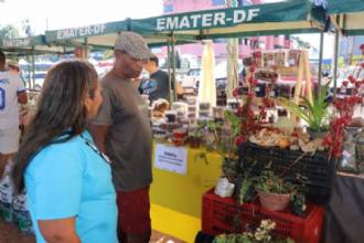 Vem aí a Semana do Produtor Rural em Sobradinho