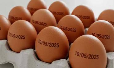 Agricultura suspende determinação de carimbar data de validade em ovos